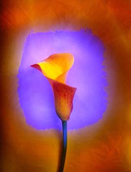 A PROP&Oacute;SITO DE OLVIDO